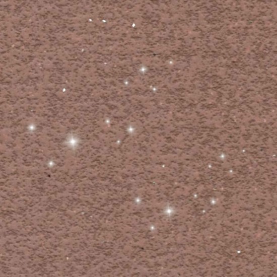 P81
