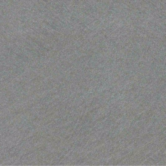 L 163 Gray Base Color